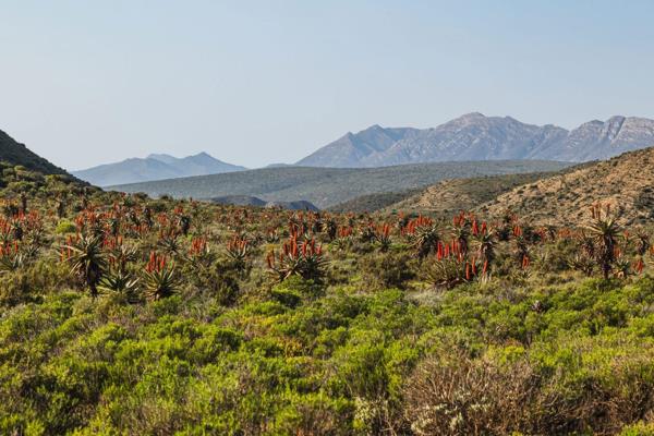 If you&#39;ve ever dreamed of owning a piece of the Karoo without the responsibilities of farming, this property is for you. Spread ...