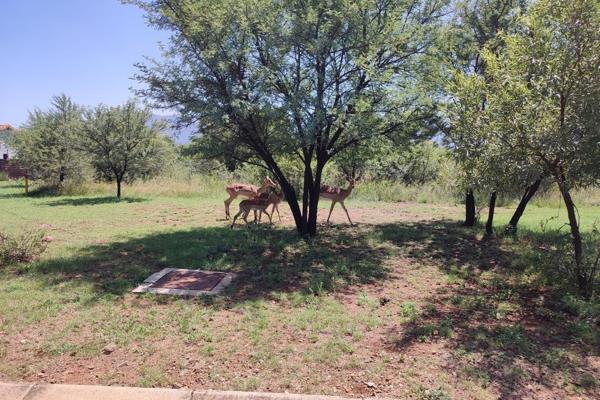 La Camargue is a low density, country lifestyle estate that offers its residents a true ...