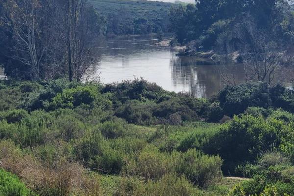 As you journey through the vibrant valleys, you&#39;ll come upon the Renosterveld Project. – Breede River 

Design Your Ideal ...