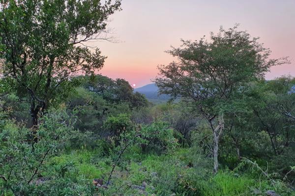 Last three stands now available!

Become a proud owner in this exclusive Estate, nestled in the heart of the Bushveld. The full title ...