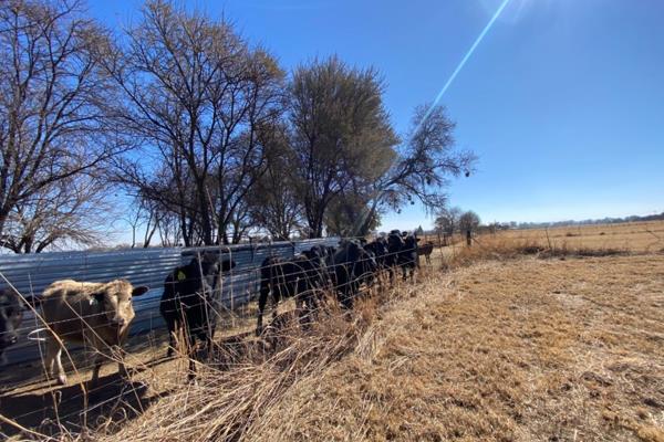 Location Location Location!
This prime farm is ideally situated just outside Potchefstroom, along the Parys Road, offering convenient ...