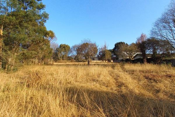 Discover the opportunity to own a breathtaking piece of land in the heart of Sabie, a ...