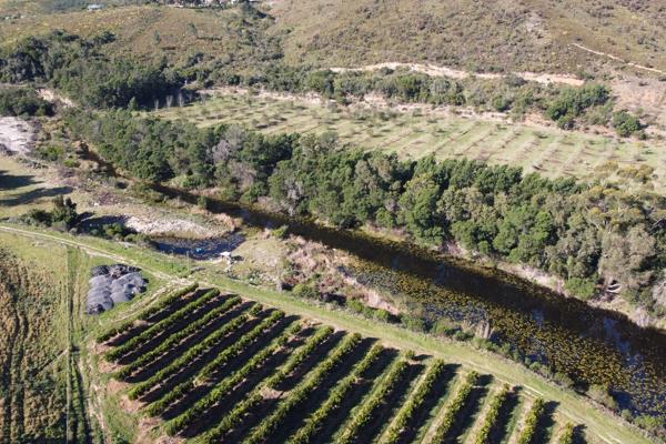 This farm offers an incredible opportunity for agricultural development with established water resources and crop production potential. ...