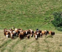 Farm for sale in Adelaide Rural