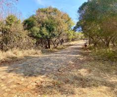 Vacant Land / Plot for sale in De Rust AH