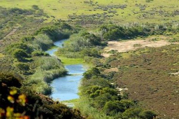 Live in harmony with nature! Outeniquasbosch Wildlife Village is a haven for wildlife enthusiasts. 

Zebras, giraffes, and various ...