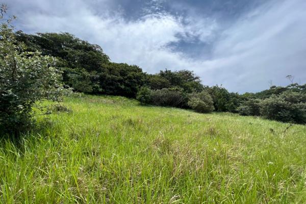 Vacant land for sale, with views casting over the paddocks and horses. The elevation of the land casts a view elevated both inland and ...