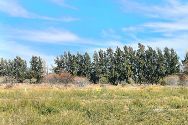 Baie goeie prys!!
Gewilde Rooipoort Ontwikkeling
Gedienste erf met teerpad en ...