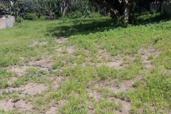 Vacant Land for Sale at South Coast Hibberdene Kwazulu Natal.
This is an absolute Bargain: 
This vacant land in the suburb of ...