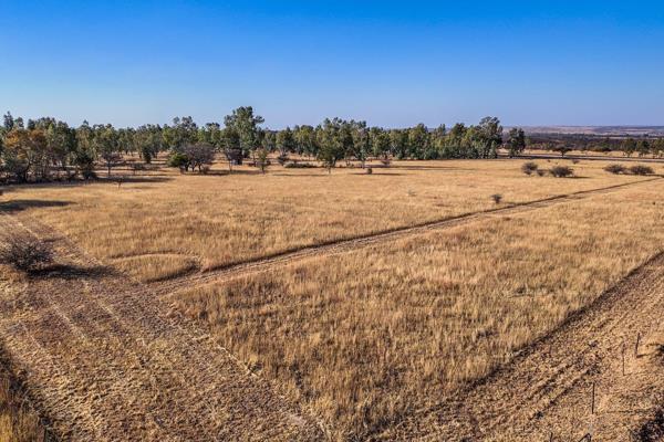 PRICED TO SELL - WELL-SITUATED, LEVEL AND FERTILE NINE HECTARE AGRICULTURAL HOLDING IN GROOTVLEI	
This property is an excellent ...