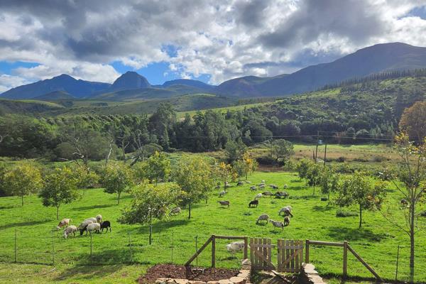 This 873 Ha  farm is situated in a beautiful valley between Riversdale and Heidelberg ( 13 Km ) in the Southern Cape. It&#39;s near the ...