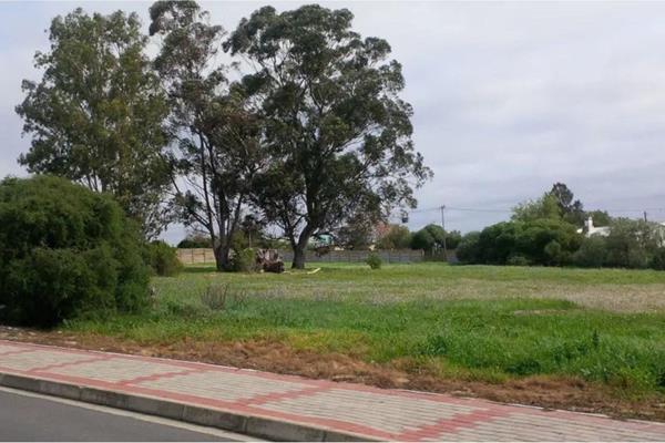 Surrounded by delicate fynbos and waving green wheat in winter, Hopefield is an historic town on the West Coast. Just 120km from Cape ...