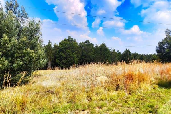 This 20000sq stand is located perfectly in the quiet part of Blue Saddle Ranch.  Just waiting for someone to build their dream home.  ...