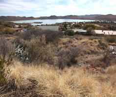 Vacant Land / Plot for sale in Vanderkloof