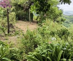 Farm for sale in Port Shepstone Rural