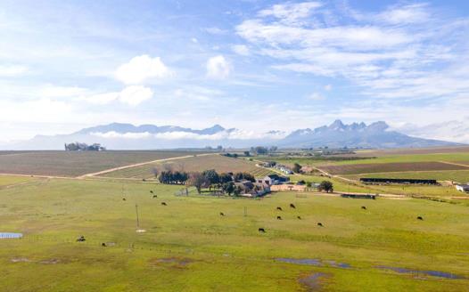 Farm for sale in Stellenbosch Farms - Stellenbosch
