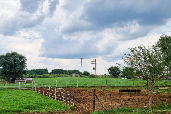 This charming 3-bedroom homestead, set amid picturesque rolling fields, is perfect for self-sustaining farming.

The property features ...