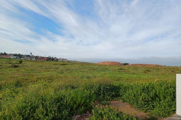 Vacant land in a popular developing area of Vredenburg.

Beautiful view over farmland, one of only a couple of these stands ...