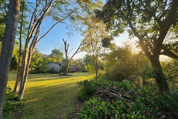 Welcome to this unique property where  feeding the mongoose, bird watching and enjoying Lowveld sunsets are some of the perks of living ...