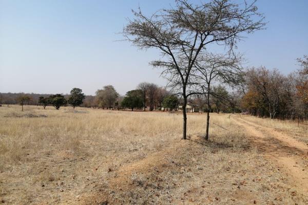 21 Hectares farm situated at Henley on the Eiland road.

This farm has a lot of potential with open lands, it is perfect for livestock ...