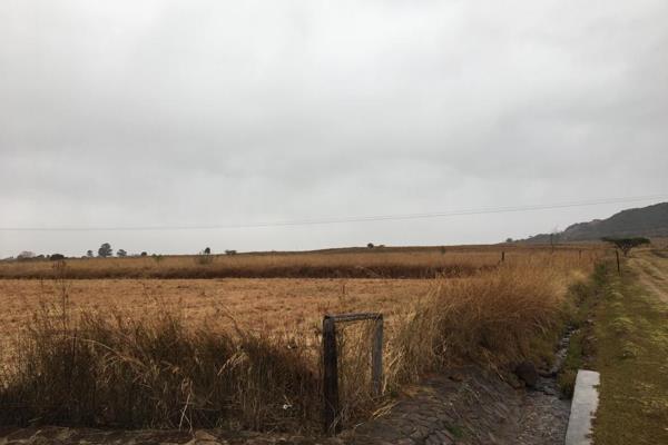 Portion 12 of the Farm Nooitgedacht Farm No. 388 in extent 66.5831ha
The agricultural ...