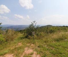 Vacant Land / Plot for sale in Likweti Bushveld Farm Estate