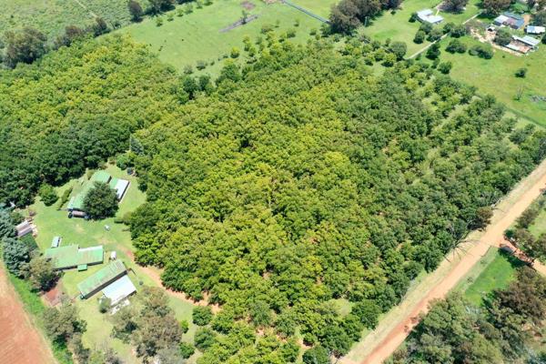 Pecan Nut Farm with Processing Plant - A Unique Investment Opportunity.
Calling all investors! This exceptional pecan nut farm offers ...