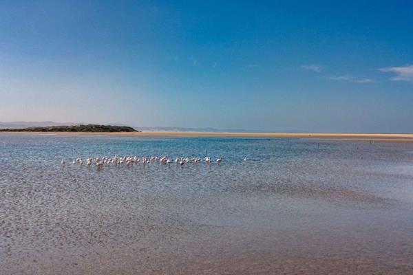 Spectacular views to the lagoon, mountains to the beach and breakers.

This property offers you 6 dwellings on the lagoon&#39;s water ...