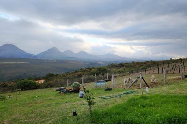 Dual Mandate

Stunning mountain views and sun sets from this life style farm in Kareedouw..!

Key features:

26 hectares with ...