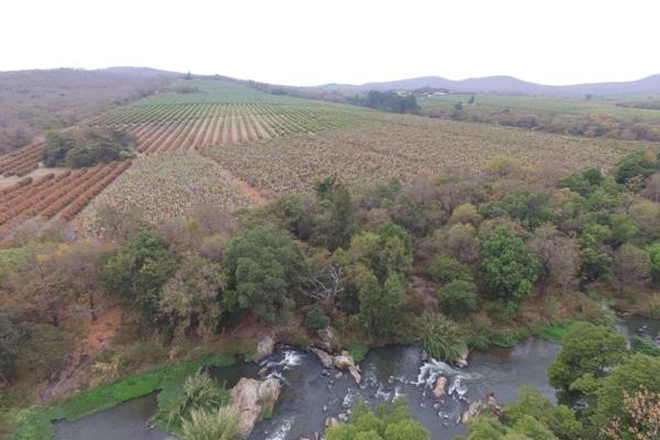 Presenting a prime opportunity to acquire a meticulously developed 252-hectare fruit farm, strategically located near Tzaneen, Limpopo. ...