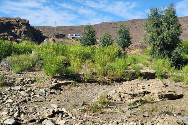 This farm is 1670 hectars and a river and a dam with a break wall , also a few wild animals and a contract in place to erect a few ...