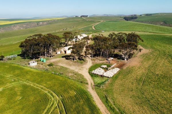 Are you ready to take your farming operation to the next level? This commercial grain and livestock farm, situated just 30 kilometers ...