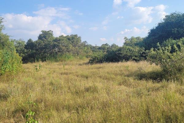 1 Morgan of vacant land in the secure boomed off area of Kyalami AH.
The plot is partially walled, and with westerly and north ...