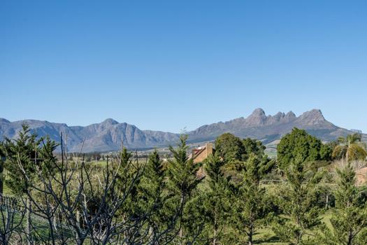 Farm for sale in Stellenbosch Farms