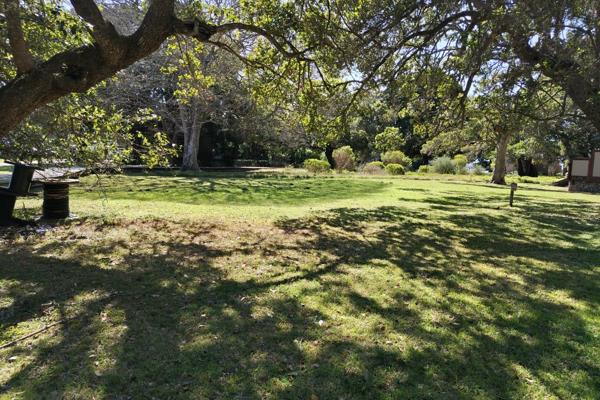 Joint Mandate

This beautiful plot is surrounded by trees, flat, and faces north. 

This ...