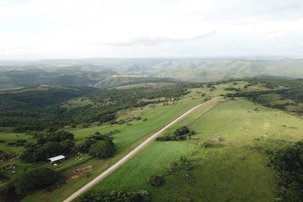 264 ha farm situated approx. 18 km&#39;s from Beacon Bay along the N6, consisting of:

3 x Large automated chicken houses
8 x ...