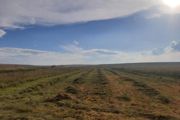 Exceptional 200ha Cattle Farm for Sale - A Rare Opportunity!

High-Potential Farm with Abundant Water and Expansion Capacity

Located ...