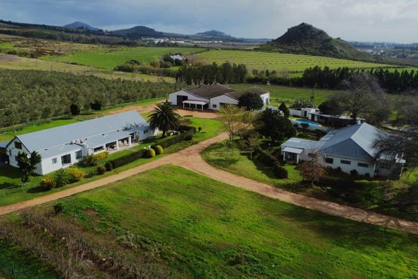 Located on a main road , near Babylonstoren, this established viticulture and olive-production farm is situated in the Western Cape ...