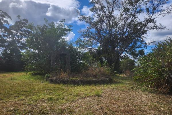 We are pleased to present this agricultural farm situated in 5 hectares in Kwanyana Tranding site in Ngqeleni 18 km to the Wild Coast ...