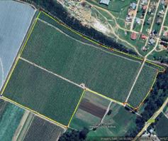 Farm for sale in Hankey