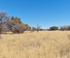 Farm for sale in Kuruman Rural