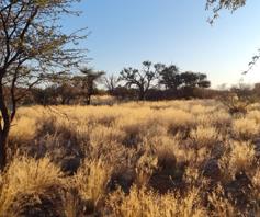 Farm for sale in Kuruman Rural