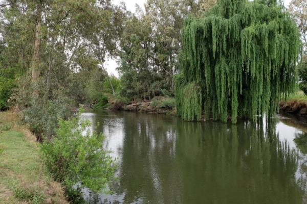 Prime Riverfront Land for Development in Riversdale

Seize the opportunity to develop this exceptional piece of riverfront land in ...