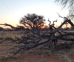 Farm for sale in Kuruman Rural