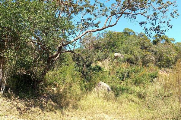 5ha level ground is available on the R538 to the Kruger Mpumalanga International Airport. 300meters from the tar road and 3.8 km from ...