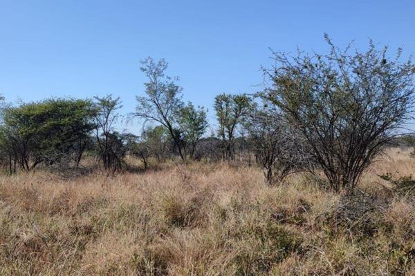 11,8ha Small holding situated next to the R565 road between Boshoek and Phokeng.

Excellent investment property!!!!!

Close to Sun ...