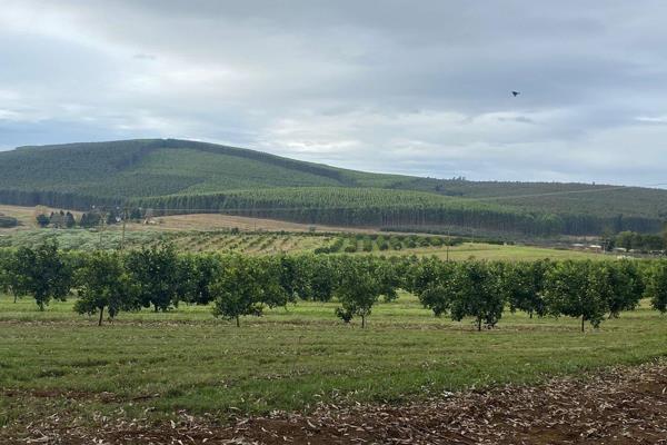 The farm development has been very structured and has grown into a huge income-producing farm, offering intensive farming focused on ...