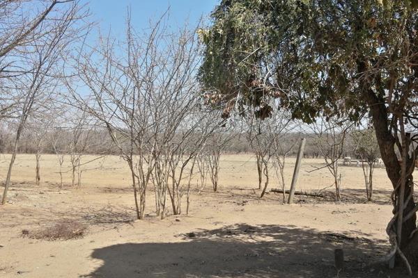 22 Hectares Livestock Farm for sale.

This farm is situated between Tzaneen and Letsitele.

The farm has two boreholes: one equipped ...