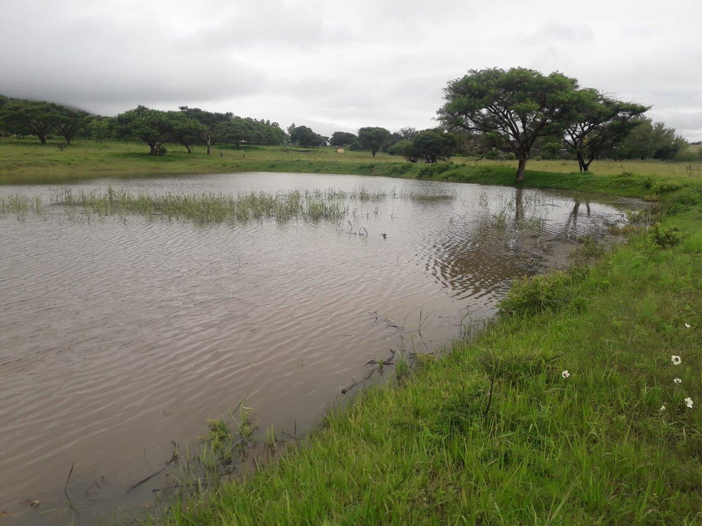 Houses for sale in Dundee Dundee Property