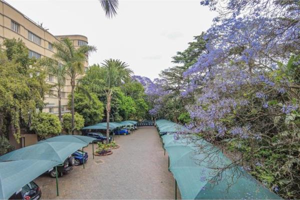 Newly renovated apartment in a heritage building, with stunning views to the magalies. ...